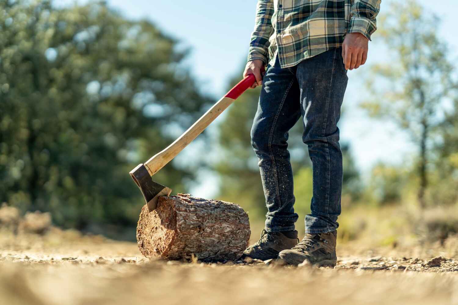 Crystal River, FL Tree Service Company